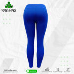 gymlegging7